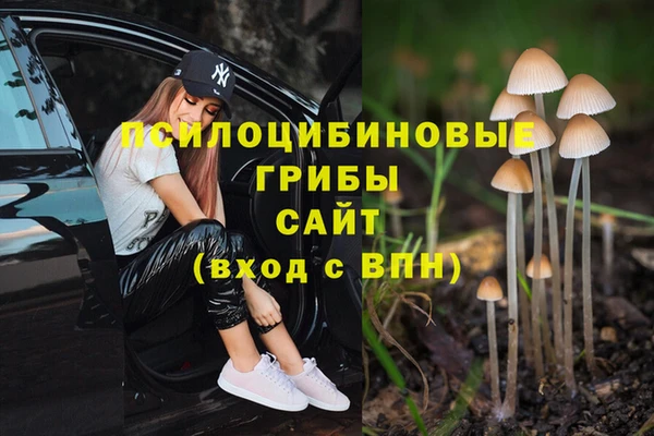 гашишное масло Новодвинск