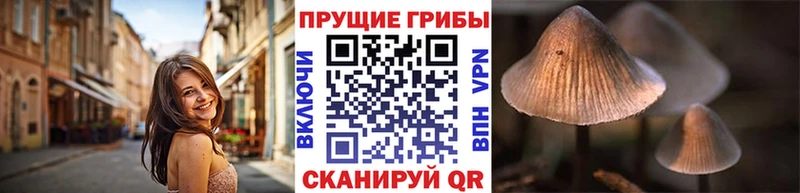 Псилоцибиновые грибы Magic Shrooms Кремёнки